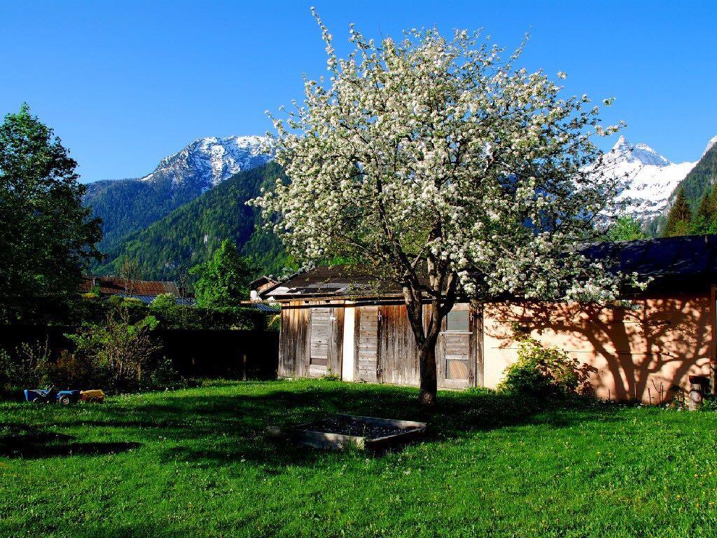 Haus Stainer Lofer Exterior foto